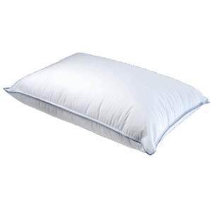 Μαξιλάρι COTTON 100% Δίγαζο