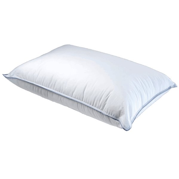 Μαξιλάρι COTTON 100% Δίγαζο