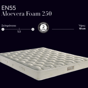 EN55 Aloevera Foam 250